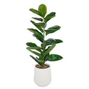 Ficus artificial en maceta “Sky”