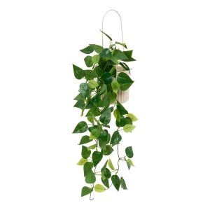 Planta artificial colgante “Pool”