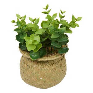Planta artificial en maceta “Jil”