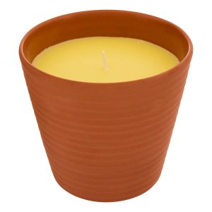 Vela perfumada “Terry”